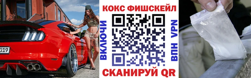 COCAIN Fish Scale  Купить закладки  Кольчугино 