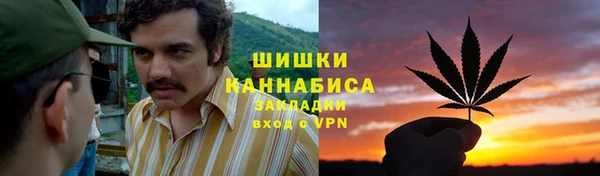 первитин Каменногорск