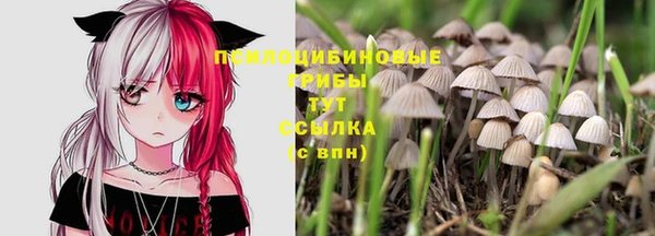 гашишное масло Каменка
