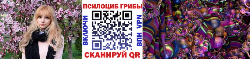 Псилоцибиновые грибы GOLDEN TEACHER  Купить где  Кольчугино 