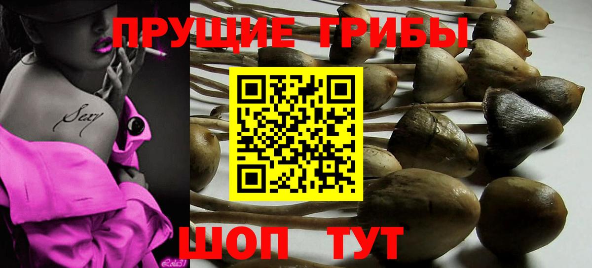 Галлюциногенные грибы Magic Shrooms  Кольчугино  наркота  Псилоцибиновые грибы MAGIC MUSHROOMS 