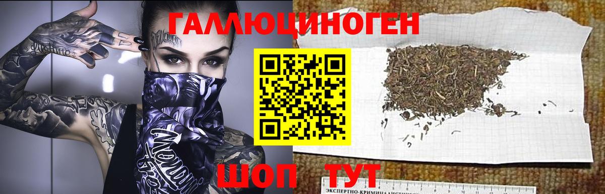 Галлюциногенные грибы MAGIC MUSHROOMS  Псилоцибиновые грибы мицелий  Вход с VPN  Кольчугино 