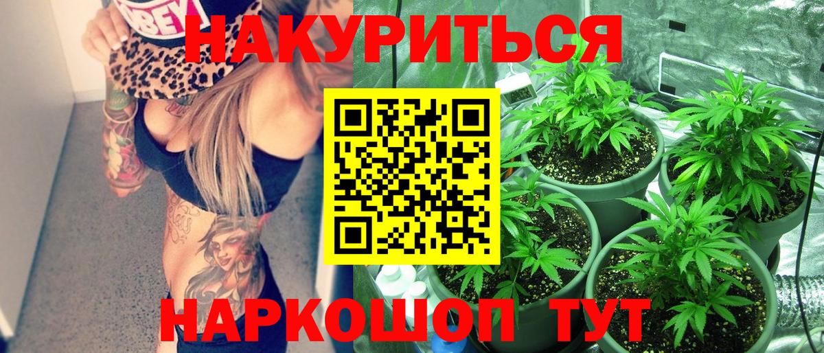 Каннабис Ganja Кольчугино